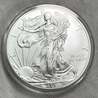 2014 $1 American Silver Eagle 1 oz .999 Fine Troy Ounce Bullion BU Coin Capsuled