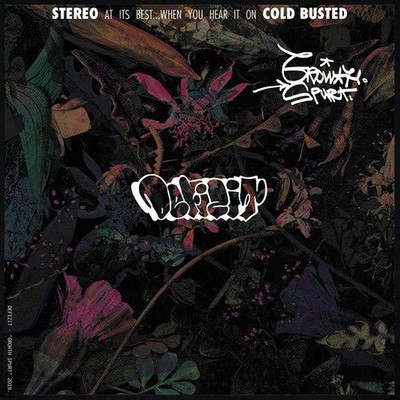 Defizit Growth Spurt (Vinyl)