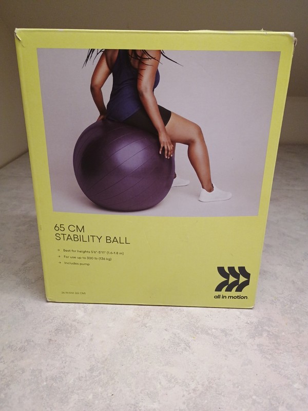 ALL IN MOTION STABILITY BALL 65CM - PURPLE