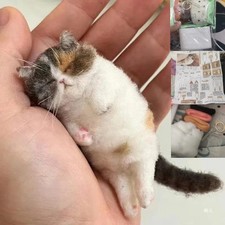 Sheep Felt Poke Cat Handmade Material Bag Diy Wool Needle Felting Animal Gifts