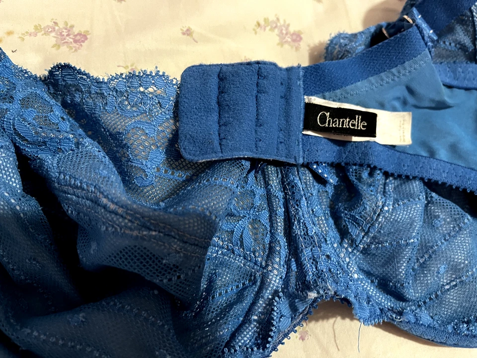 Большой лот бюстгальтеров 36dd - 40ddd и некоторые 38e - Wacoal, Chantelle, Le Mystere, Natori  - Изображение 3 из 4