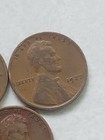 Coin Auction #31- 1920, 1924, (2) 1927, 1928 LINCOLN PENNY — photo 3