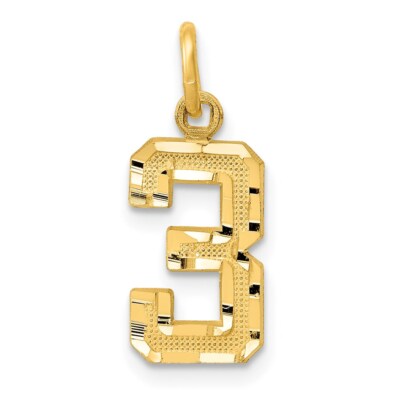 Real 14kt Yellow Gold Small Brushed Diamond-cut Number 3 Charm