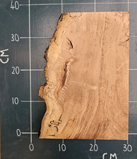 Kiln Dried Planed Slab Live edge spalted (Unusual Timber) 35.9cm x 26.5cm x 31mm