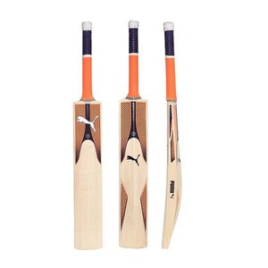 puma evospeed 6.17 cricket bat