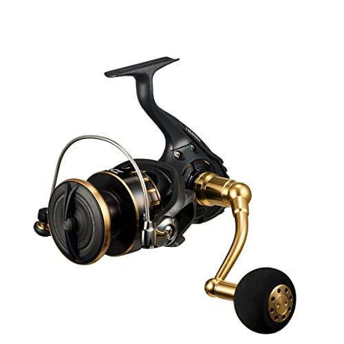 DAIWA spinning reel 23BG SW 4000*18000 various (2023 model) | eBay