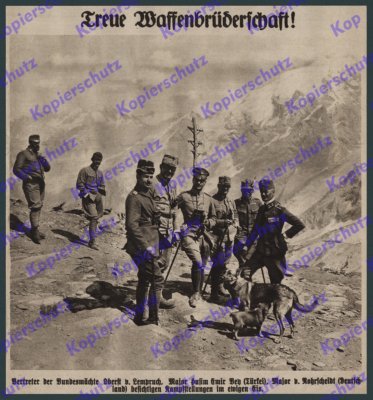 Bild 1 von 1