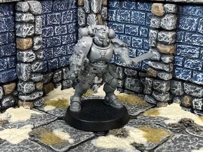 Warhammer 40k PRIMARIS REIVER CONVERSION space marines captain GW kill team BT26