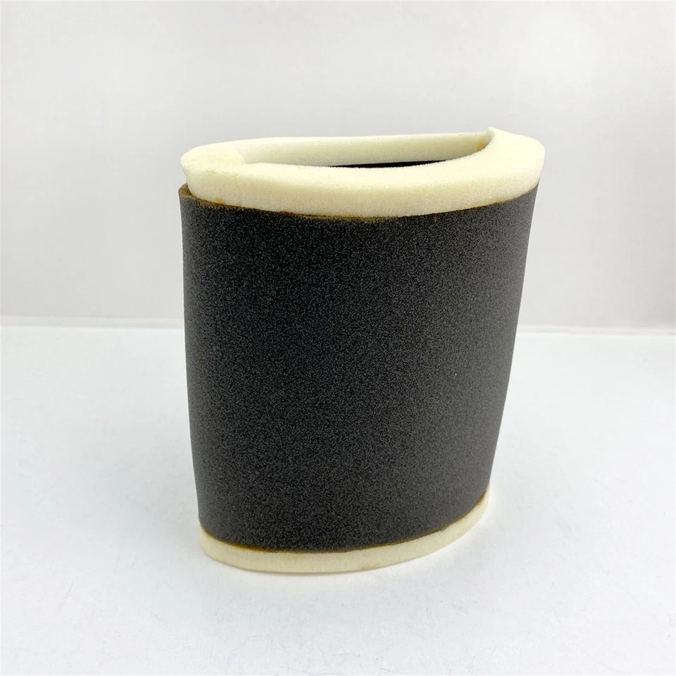 Filtro de aire Emgo para Kawasaki 11013-1221ZR1100AB 12-92572 Foto 3 de 4