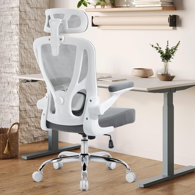 Shipborne Office Chair Ergonomic Office Chair Lumbar Support Head Support