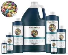 Jamaican Fruit Fragrance Oil For Candle, Soap Making, Diffuser and Burners