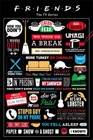 Friends - TV Show Poster (Infographic - Quotes Logos Pictos) (Size: 24 X 36")
