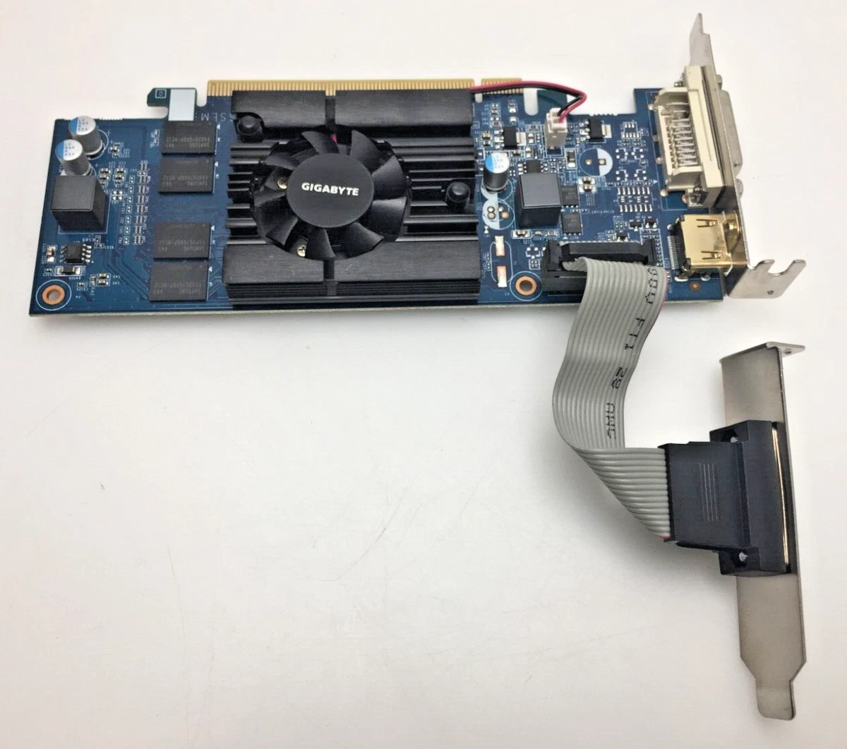 Gigabyte 210 new arrivals