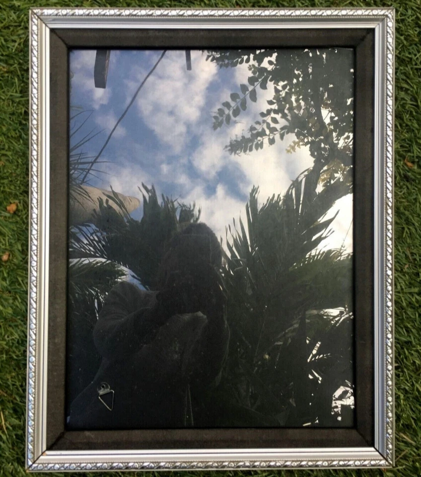 Arte de pared de madera con cuerda floral con marco plateado Hollywood Regency 12"x16" negro mate hágalo usted mismo Foto 2 de 4