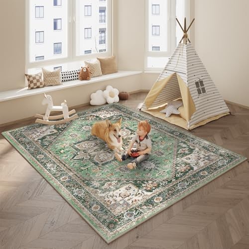  5x7 Area Rugs for Living Room,Non-Slip Washable Rug for 