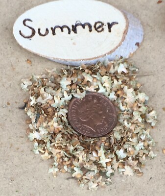 1Gram Streuung Von Puppenhaus 1:12 Maßstab Miniatur Imitat Sommer Garten Leaves