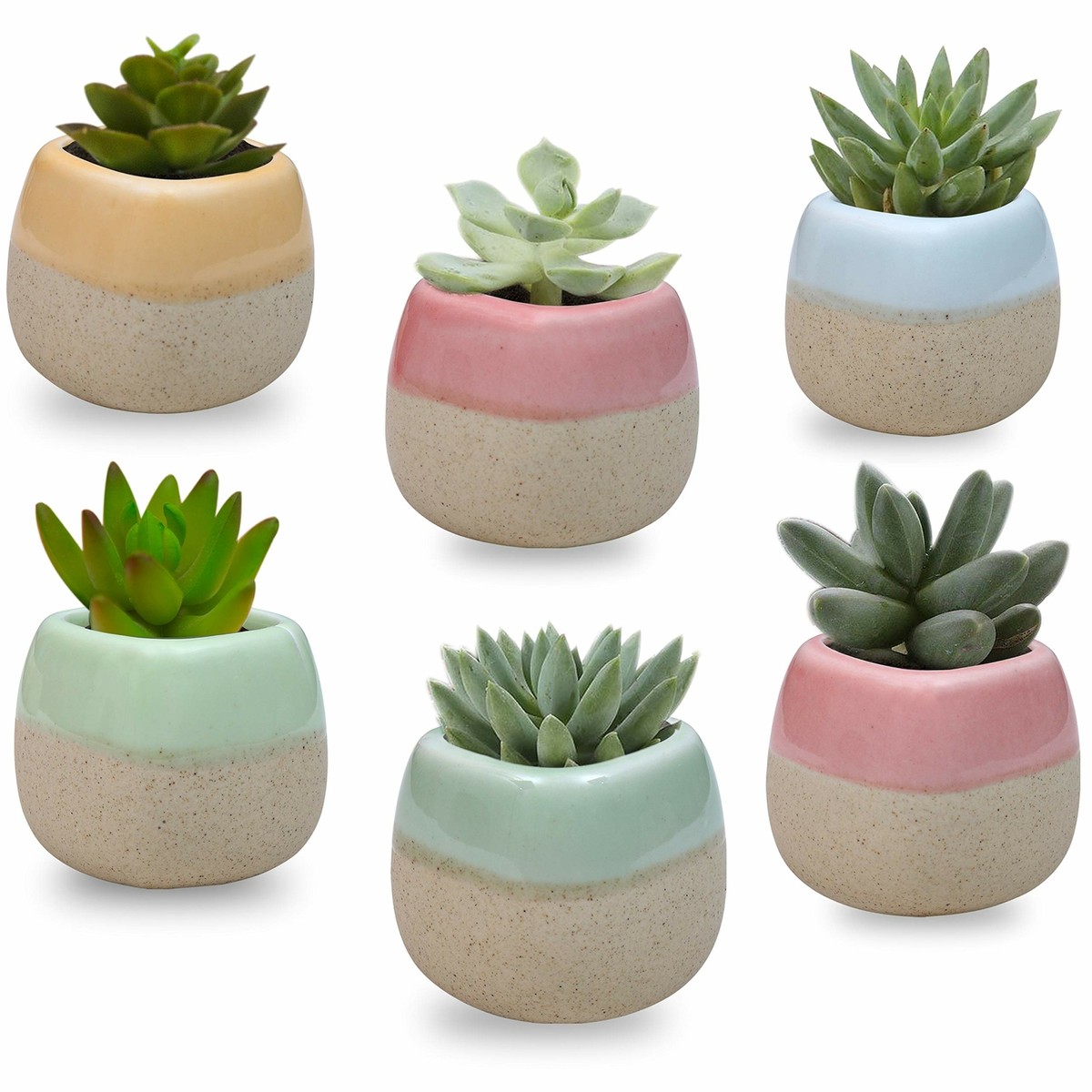 YIKUSH Vaso per piante in ceramica, per piante grasse, sexy, rosa, per interni ed esterni, mini vasi da giardino, set da 1