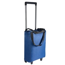 Shopping Trolley With 2Wheels Foldable Trolley Bag Telescopic Handle Reusable e