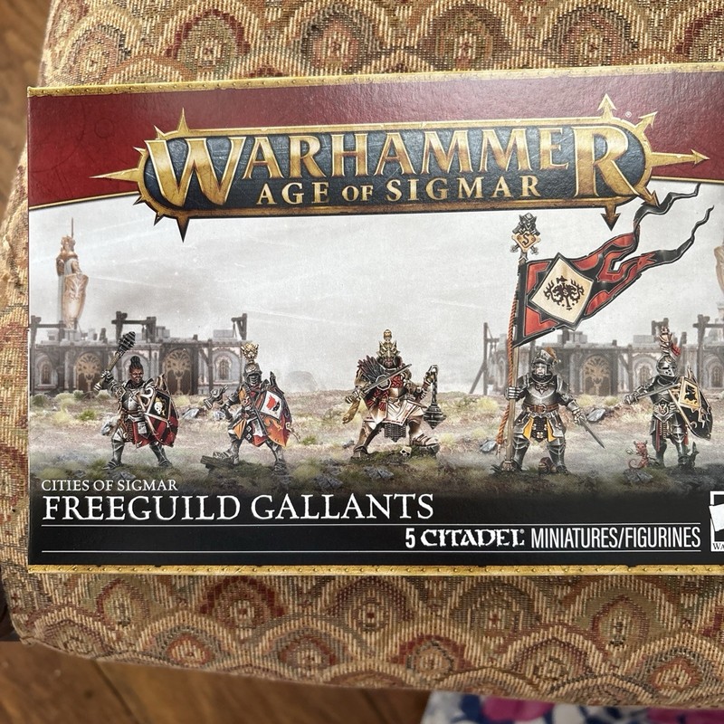Warhammer AOS Cities of Sigmar Freeguild Gallants