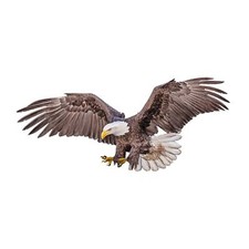 Nueva calcomanía pegatina Soaring BALD EAGLE EE. UU.
