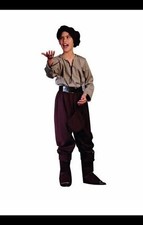 RG Costumes 90113 Renaissance Peasant Small