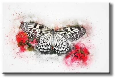 Beautiful Butterfly and Flower Inspirational Decorative Picture on Stretched Can