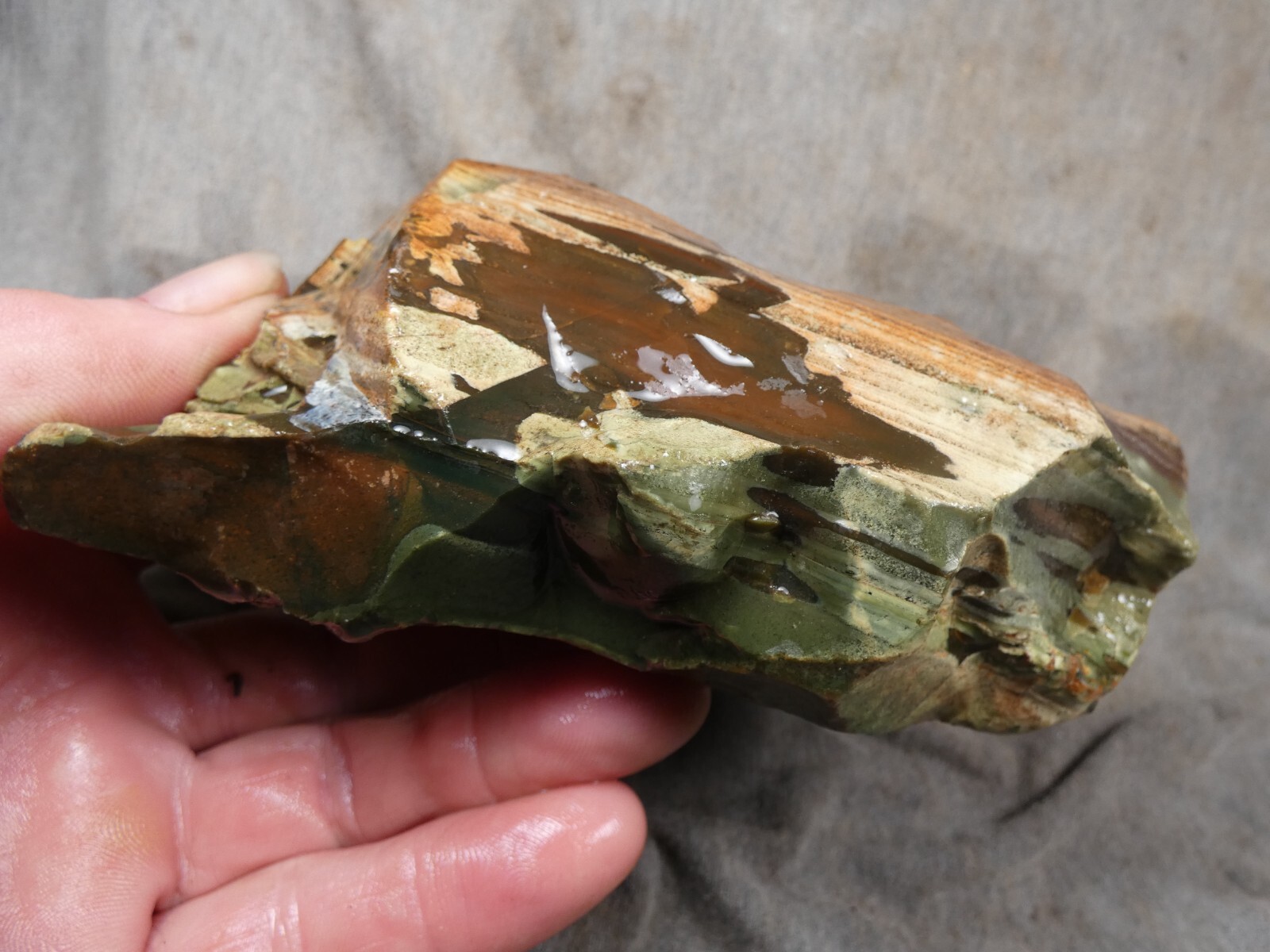 oregon bat cave jasper 1.80 lbs eBay