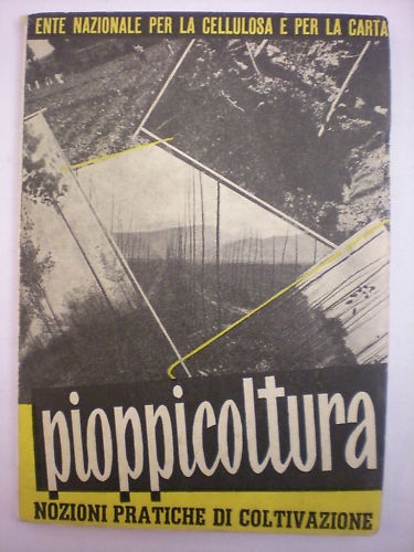 Foto 1 di 1