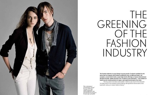 ECO CHIC The Fashion Paradox Clothing Design Organic Reuse Recycle Ethical Trade - Picture 3 of 7
