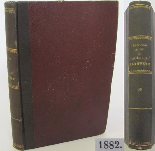 1882 ANTIQUE GERMAN MEDICAL ANATOMY BOOK  - Bild 1 von 12
