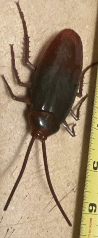 Cockroach huge type battery operated motion crawls real life looking