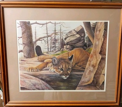 Artist Richard Evans Younger Numbered Signed Twice. Resting Beautiful Cougar