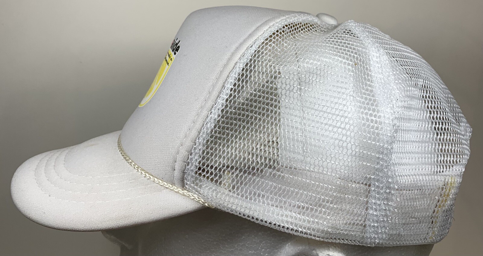 Lemon Aide Project Hat Stand Make Difference Natu… - image 3