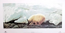 Pierre Francis Surtes Signed Limited Edition The Arctic Springtime Polar Bear