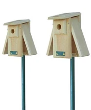 2 Coveside Bluebird Houses Premium Two-Sided Observation and Pole Kits