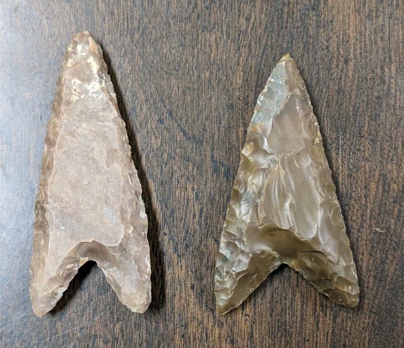 Authentic Lot (2) Large Rare Sahara Neolithic Algerian Arrowheads NW Africa