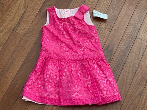 Gymboree Girls Dressed Up by Gymboree Hot Pink Lace Dress Size 4 4T New - Picture 2 of 8