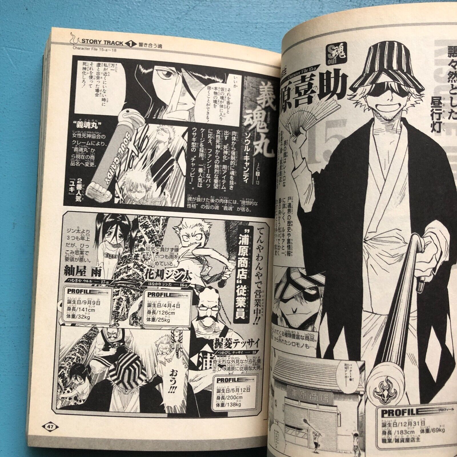 BLEACH Official Character Book 1: SOULs.