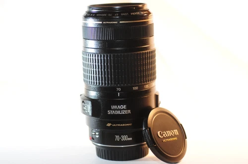 Canon EOS EF 70-300mm f/4-5.6 IS USM telephoto lens Has issue ERRATIC stabilizer