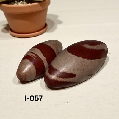 Brown Shading Narmada Shiva Lingam Stone Sacred Symbol of Lord Shiv Puja = I-057