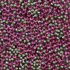 1028 PP18 R *** 100 strass Swarovski fond conique 2,45mm ROSE