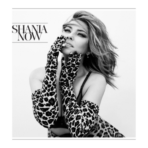 Shania Twain Now (Vinyl LP) 12" Album