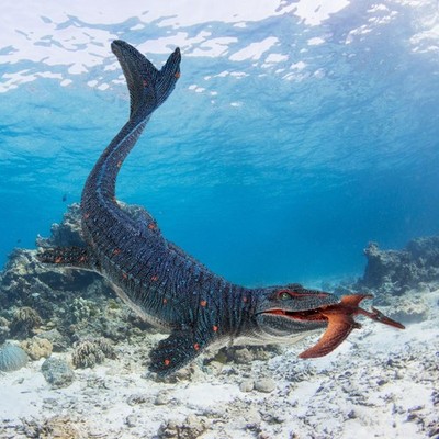 Mosasaurus Figuren Lebensecht Mosasaurus Modell Urzeit Kreaturen Spielzeug Dinosaurier