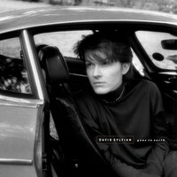 David Sylvian - Gone To Earth - Vinyl Record 12 Record - F123Z
