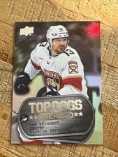 2024-25 Upper Deck Overtime Hockey #TD-17 Sam Reinhart Top Dogs NHL Trading Card