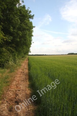 Foto 6x4 Feldrand nahe dem A14 Schneckenbrunnen Ein schmaler Streifen trennt a c2010
