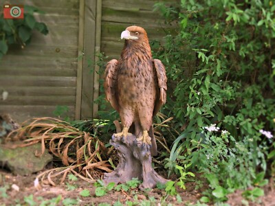 GOLDEN EAGLE, LARGE & SEHR REALISTISCH, Incredible Vivid Arts Real Life, Größe A