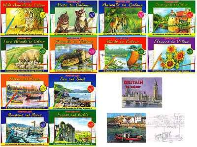 Adult Colouring Books Pro Advance Level Artist Expert Quality Painting Drawing