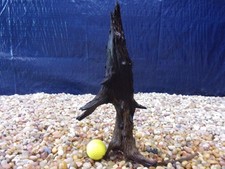 Medium Driftwood 13"x09"x05" Aquarium Terrarium Reptile Natural Art