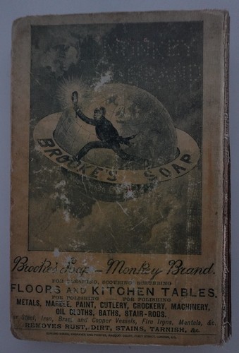 My Official Wife : Richard Henry Savage : Yellow-Back Book Routledge 1895 - Picture 14 of 16